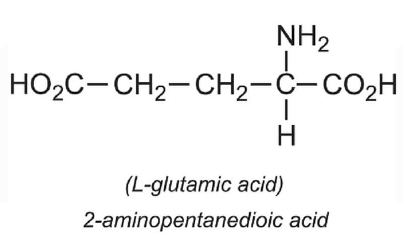 Cấu trúc phân tử axit glutamic